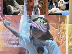 -厦门诚毅自然探索馆