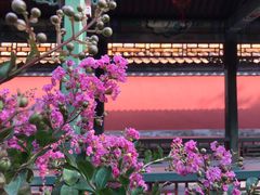 -颐和园