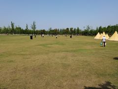 -上海长兴岛郊野公园