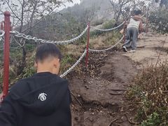 -鲁山国家森林公园