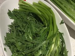 -海底捞火锅(高科广场店)