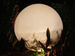 -厦门日月谷温泉渡假村