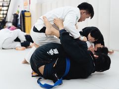 -菠萝格斗巴西柔术训练馆