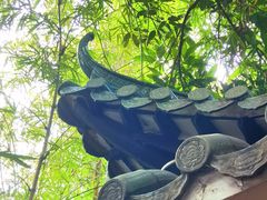 -晓港公园