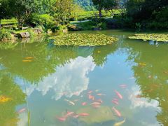 -中国茶叶博物馆(双峰馆区)
