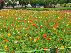 -秦皇岛野生动物园