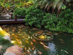 -厦门日月谷温泉渡假村