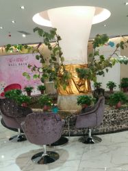 -纵享怡月月子中心(西稍门店)