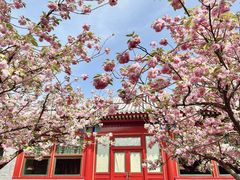 -北京颐和宾馆