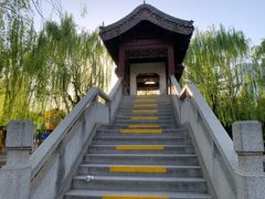 -团结湖公园