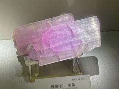 -湖南省地质博物馆