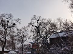 -北山公园