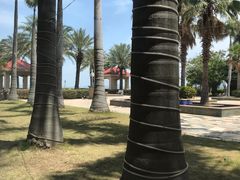 -V Bar海景扒房(北海湾惠龙万达嘉华酒店)