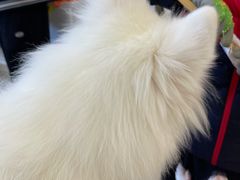 -怪兽屋·羊驼·猫咖·狗咖(俊华广场店)