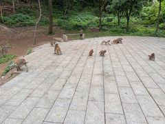 -黔灵山公园