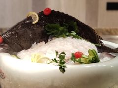 -嘉定凯悦·咖啡厅