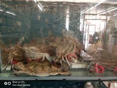 -渔民船说·北塘海鲜·天津菜·海肠捞饭(北塘古镇店)
