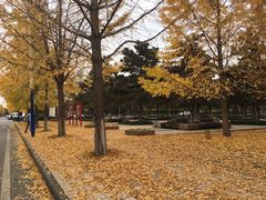 -西北农林科技大学(北校区)