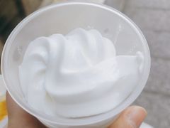 -洪馨椰子