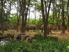 -北京野生动物园