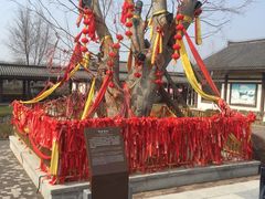 -西安汉城湖景区