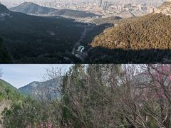 -佛慧山