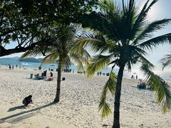 -真浪大家乐海鲜餐馆