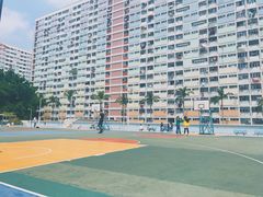 -彩虹村