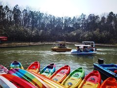 -上海海湾国家森林公园