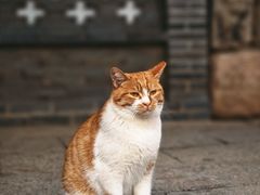 -龙华寺