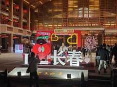-刘老根大舞台-长春旗舰店