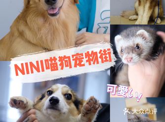 这里的毛孩子都超可爱！