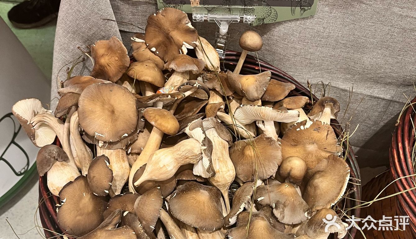 这里的每一道菜都能让你感受到来自云南的纯净与美好