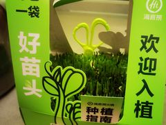 -海底捞火锅(吾悦广场店)