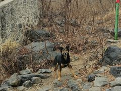 -阳台山自然风景区