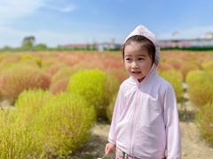 -映月湖中央公园