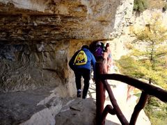 -芦芽山旅游度假区