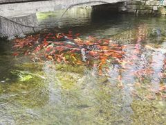 -水磨沟公园