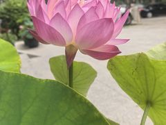 -中卫御苑福膳·养生局(圆明园店)