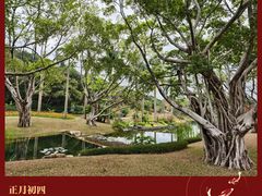 -云溪植物园