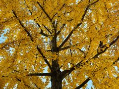 -上海交通大学(闵行校区)