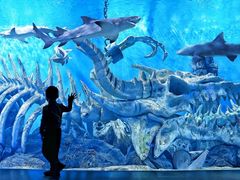 -波塞冬旅游度假区