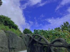 -梧桐山风景名胜区