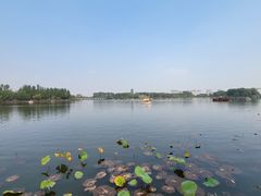 -长春北湖公园