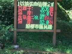 -溪头自然教育园区林间休憩场