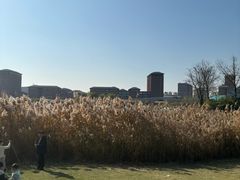 -浙江大学(紫金港校区)