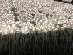 -K立方量贩式KTV(香洲店)