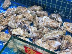 -上海阿潘舟山海鲜店(东宝兴路店)