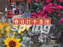 -丹樱生态园