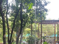 -谷咖啡·鲜花绿植花园餐厅